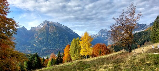 Herbstliche Farbpalette