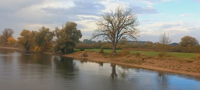 An der schönen blauen Donau