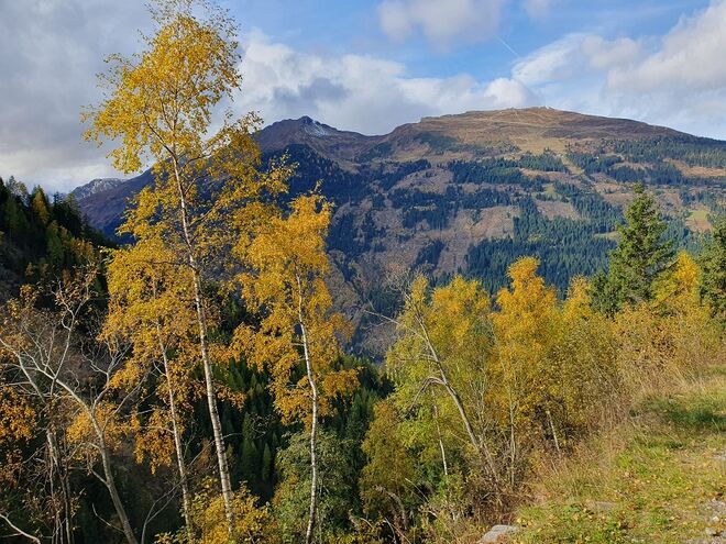 Goldener Herbst