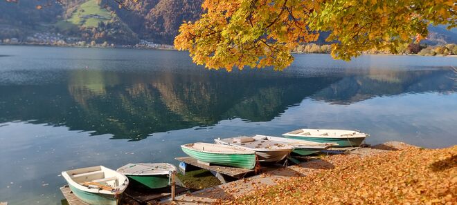 Bunter Herbst