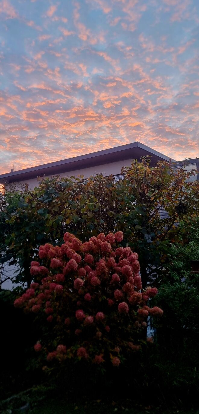 Besondere Stimmung