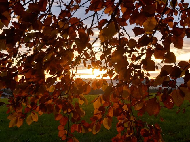 Herbstliebe