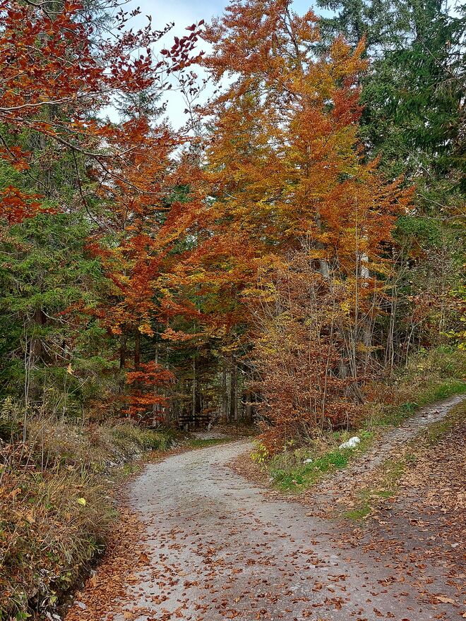 Wandern im Herbst - Kraft tanken, bevor der Schnee kommt