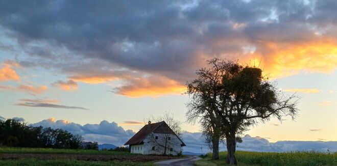 Was die Natur uns alles schenkt