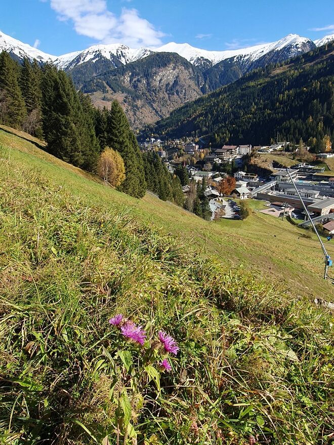 Es scheint wieder die Sonne