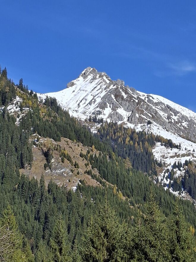 Blick auf den Draugstein