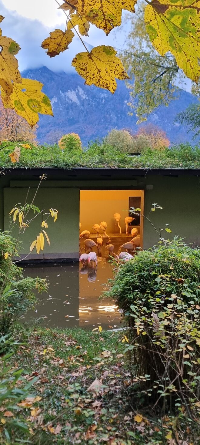 Herrlicher Zoobesuch