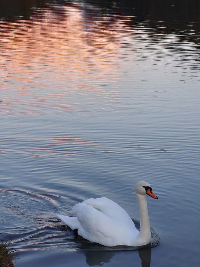 Im See liegt auch ein Leuchten  ...