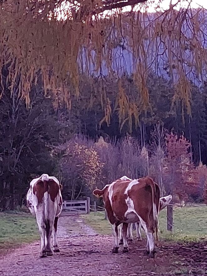 Wir gehen auch noch eine Runde !