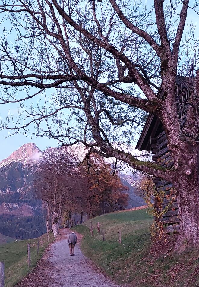 Spazieren in der Dämmerung