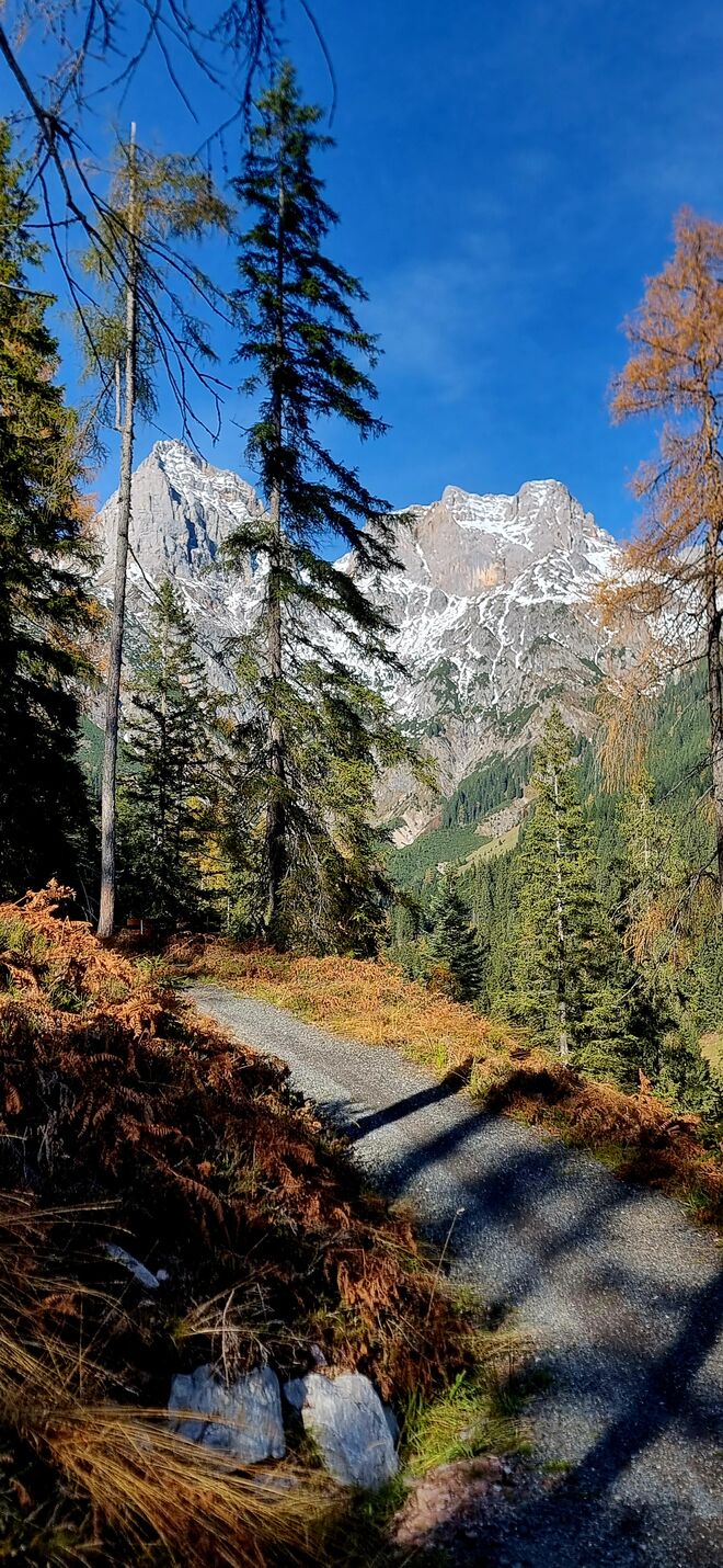 "Schlafende Jungfrau "
