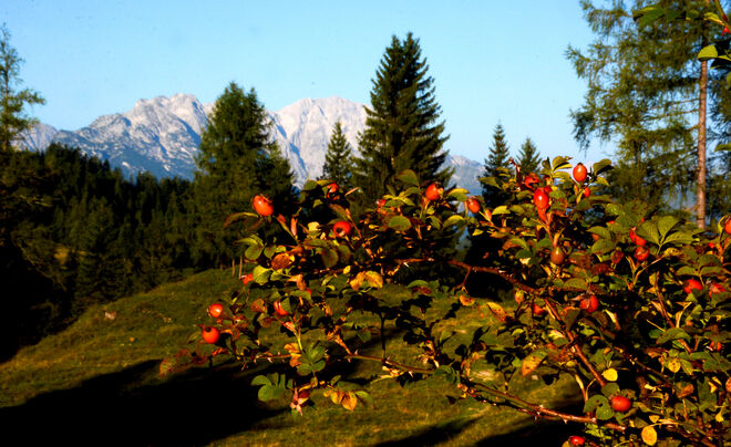 Herbst !