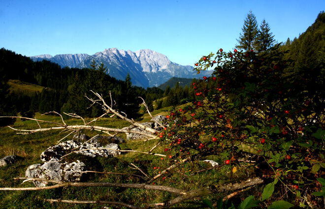 Herbstlicher Blick...