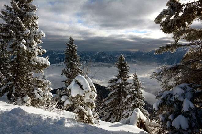 Winter...
