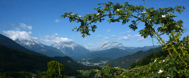 Nachbarblick