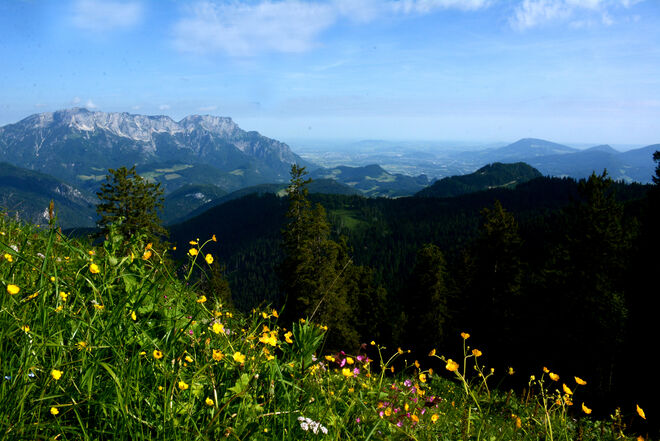 Ausblick vom Roßfeld