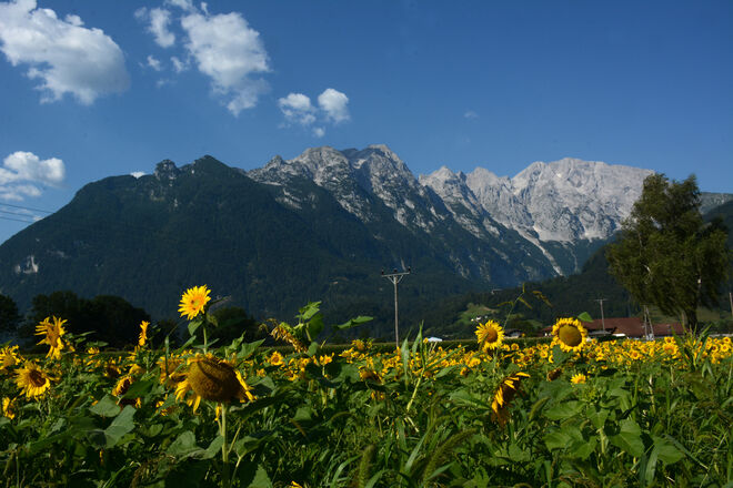 Sommergöllblick