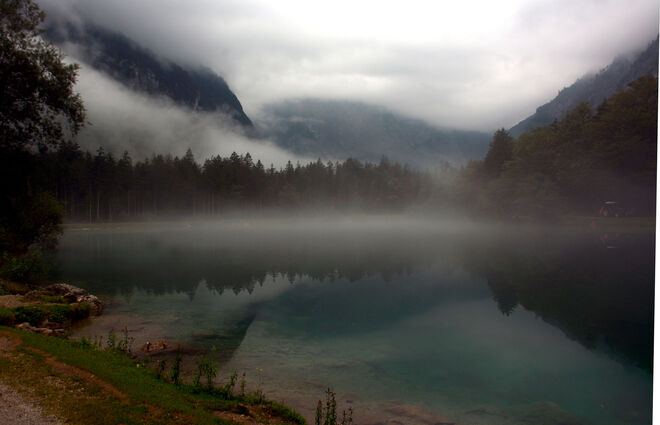 Morgennebel...
