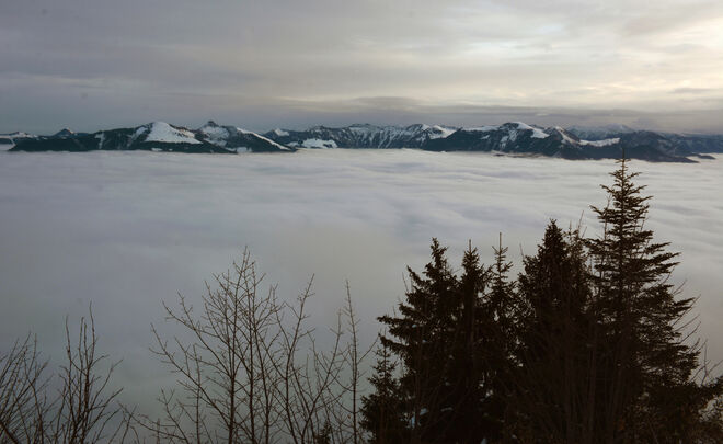 Hochnebel über dem Salzachtal