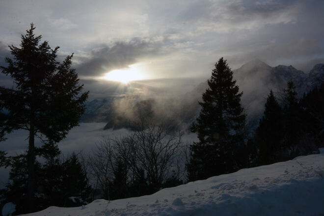Lichtblick