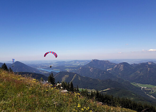 Zwölferhorn Sommer