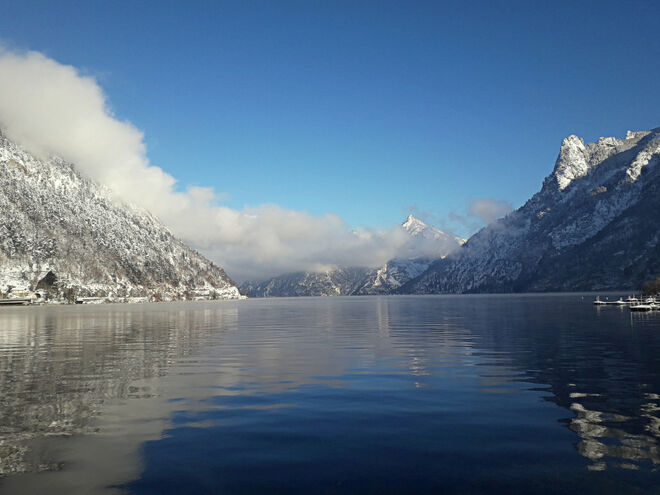 Blick über den Traunsee