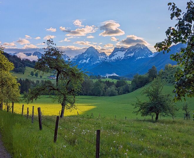 . . . allerletzte Sonne am Wieseneck . . .
