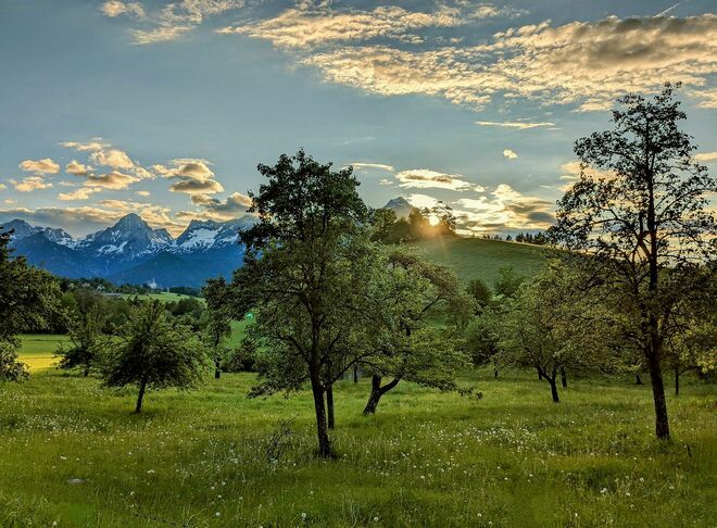 . . . allerletzte Sonne am Wieseneck . . .