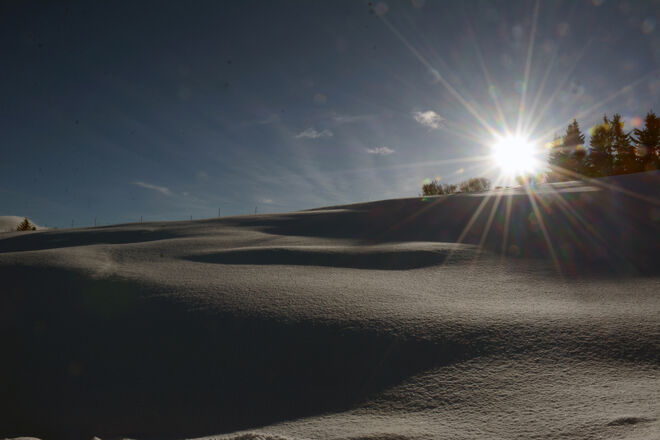 Winter am Roßfeld