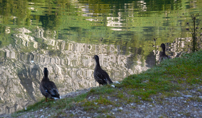 Seeblick