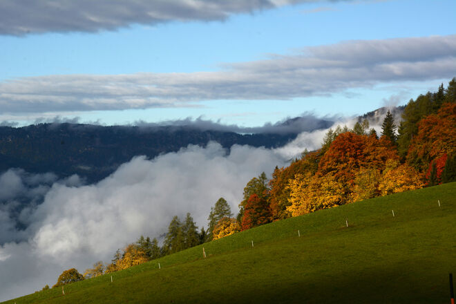 Schöner Herbst