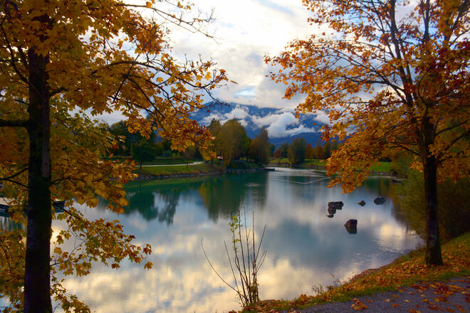 Bürgerausee...
