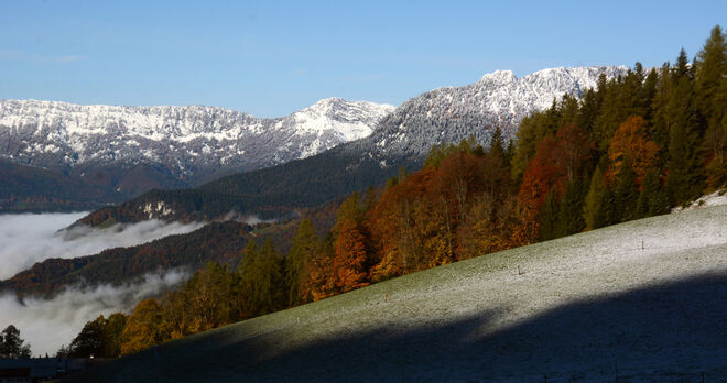 Spätherbstblick
