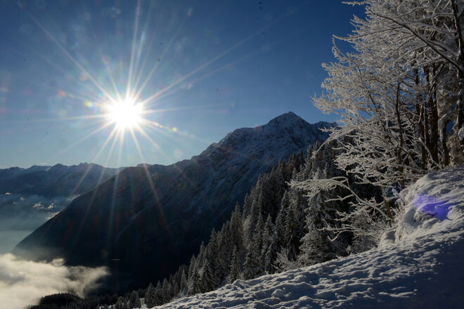 Winter