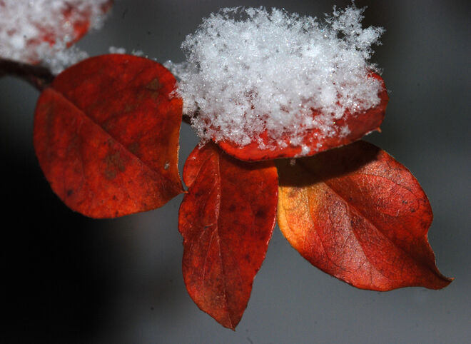 Herbst und Winter