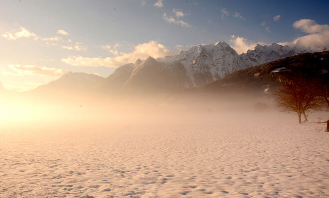 Morgennebel