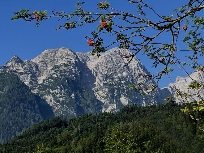 Freieck(Göllmassiv)