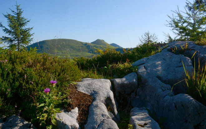 Ausblick ...