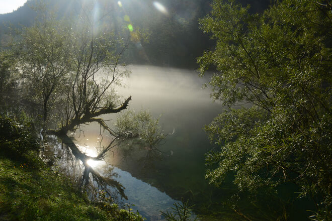 Morgennebel...