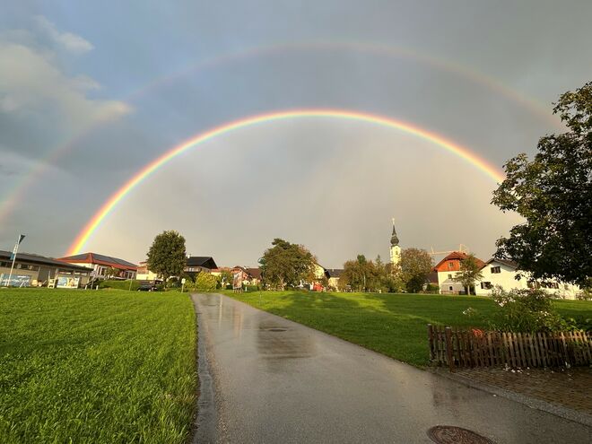 buntes Anthering