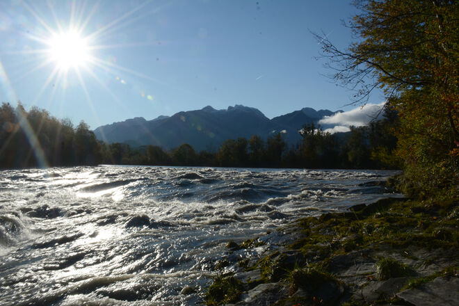 "Mächtige" Salzach