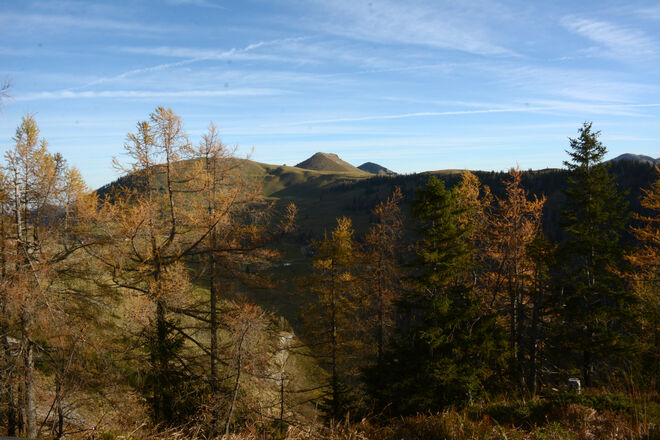 Trattbergstraßenblick