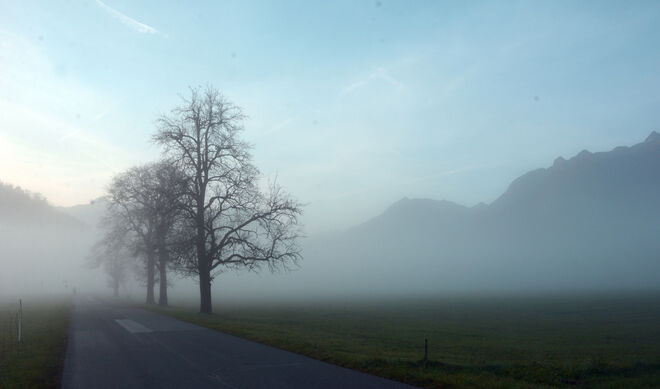 Morgenlicher Herbstnebel