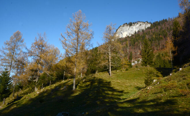 Spätherbst