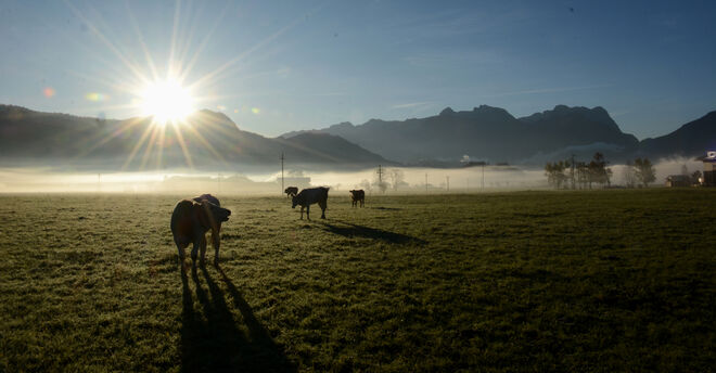 Sonnenaufgang