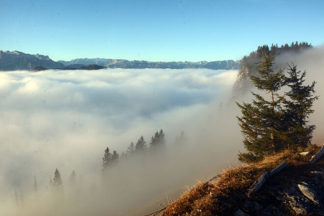 Nebelstimmung