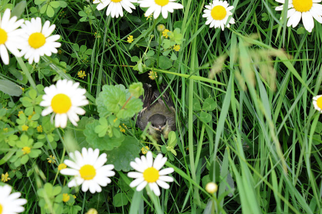 Hab mich versteckt