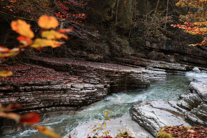 Herbststimmung in der Taugl