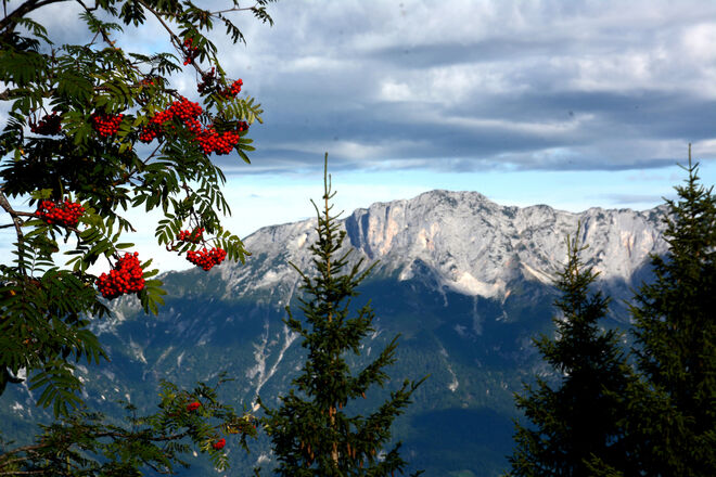 Berchtesgadener Hochthron(Unteresberg)
