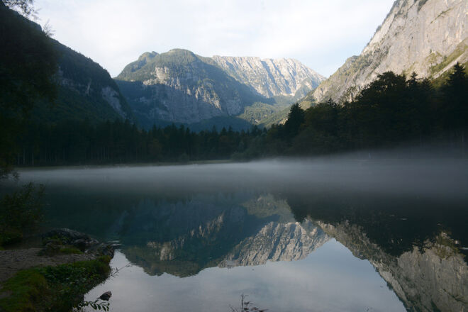 Morgennebel...